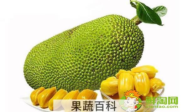 菠萝蜜怎么保存才不坏，菠萝蜜肉怎么保存