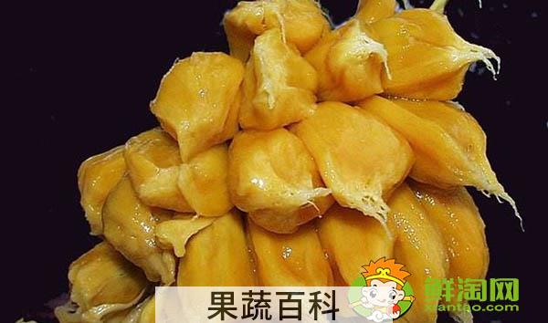 菠萝蜜怎么保存才不坏，菠萝蜜肉怎么保存