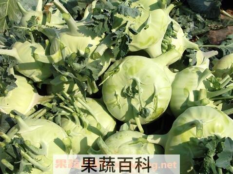 苤蓝的营养价值与功效作用