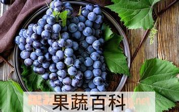 果蔬百科黑提的功效与作用