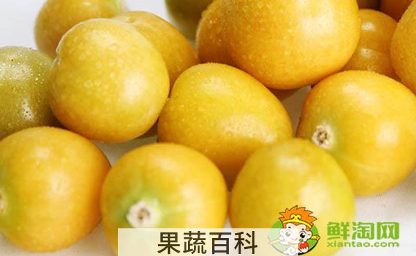 姑娘果是什么样子，姑娘果成熟后的样子