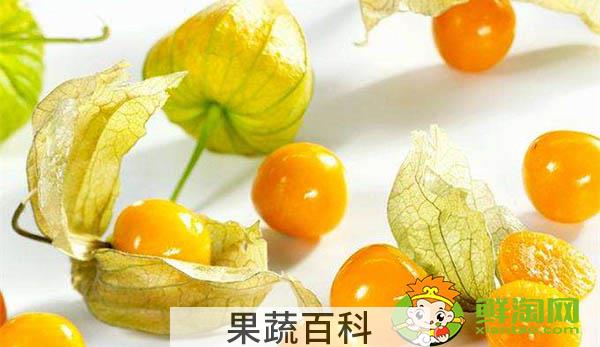 姑娘果是什么样子，姑娘果成熟后的样子