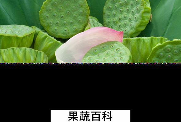 果蔬百科莲蓬的常见吃法