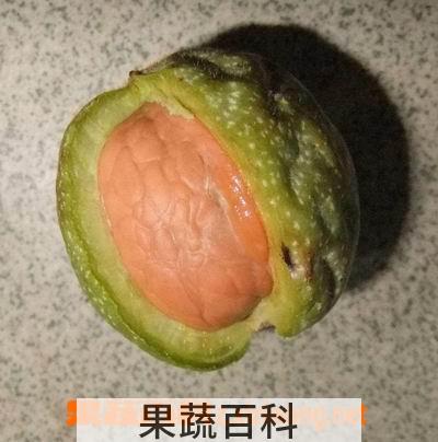 果蔬百科核桃皮的功效与作用 核桃皮的使用方法