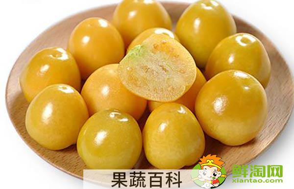 姑娘果和灯笼果一样吗，姑娘果的产地都有哪些地方