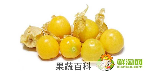 姑娘果和灯笼果一样吗，姑娘果的产地都有哪些地方