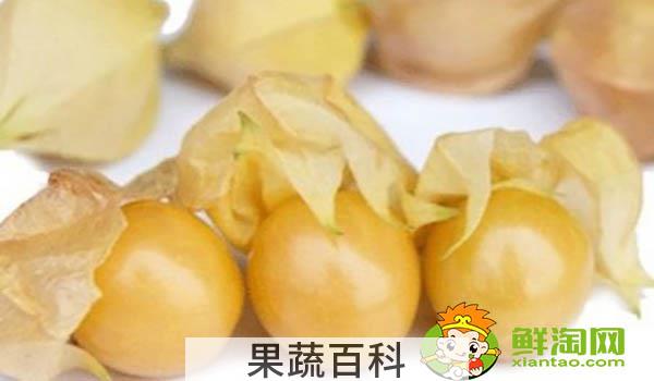 灯笼果有几个品种，哪个品种的黄姑娘果更甜