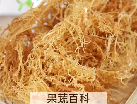 鹿角菜和龙须菜的区别