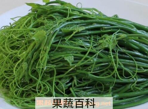 龙须菜的功效与作用