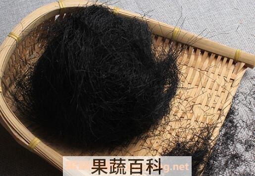 发菜的营养价值与功效