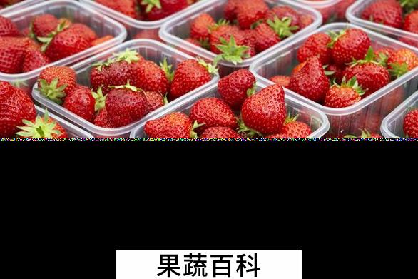 果蔬百科草莓怎么洗才干净