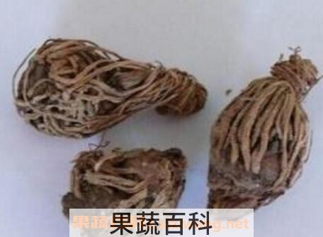 枯萝卜的作用与功效