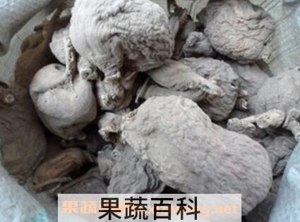 枯萝卜的作用与功效