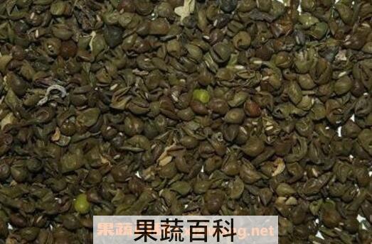 绿豆衣的功效及禁忌