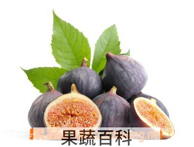 果蔬百科无花果的营养价值及食用方法