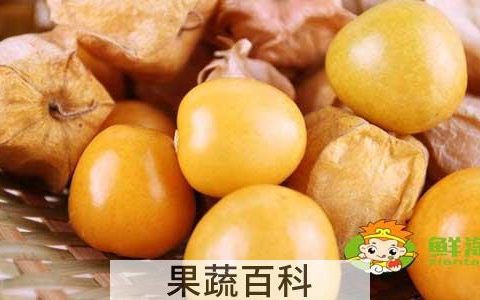 姑娘果什么时候才有，没熟的姑娘果有毒吗