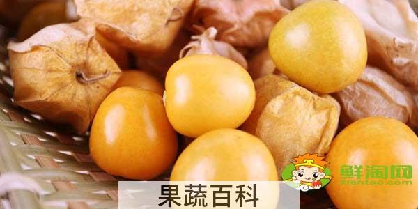 姑娘果什么时候才有，没熟的姑娘果有毒吗