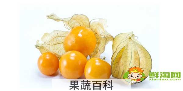 姑娘果什么时候才有，没熟的姑娘果有毒吗