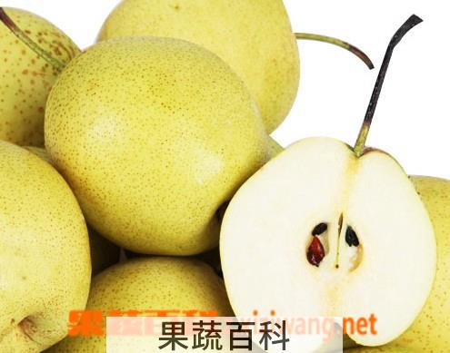 果蔬百科梨的营养价值 梨的功效有哪些