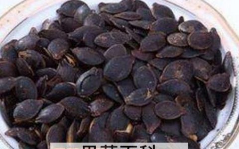 丝瓜子怎么做好吃? 丝瓜子怎么做好吃 丝瓜子的食用方法视频