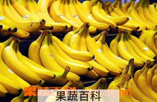 果蔬百科香蕉的功效与作用