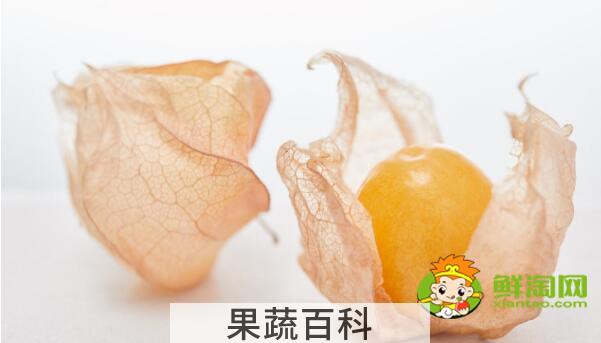 姑娘果几月熟，姑娘果怎样熟得快