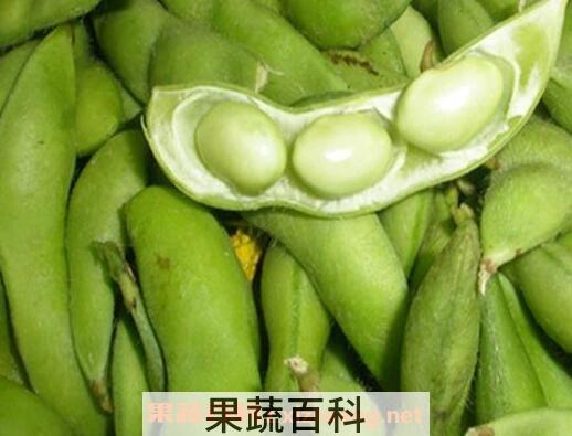 毛豆怎么煮 正确煮毛豆的步骤