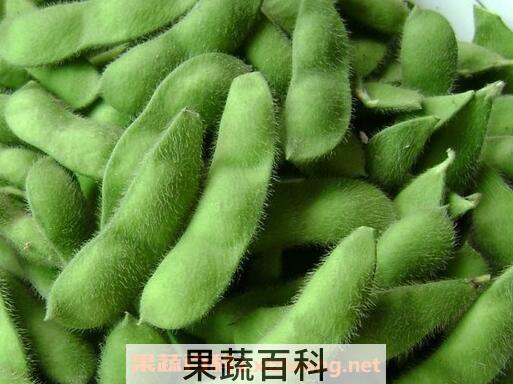 毛豆怎么煮 正确煮毛豆的步骤