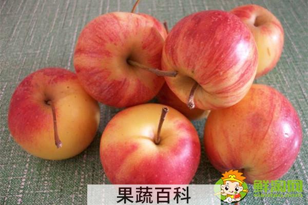 沙果怎么酿酒，沙果酒的制作方法