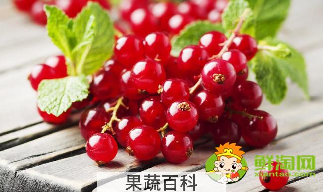 灯笼果为什么叫姑娘果，灯笼果成熟后是什么颜色
