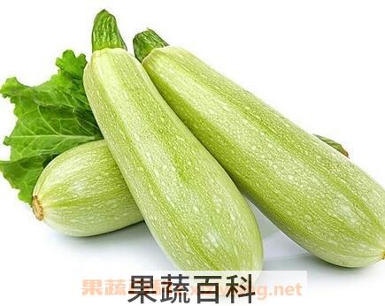 芦子的功效与作用