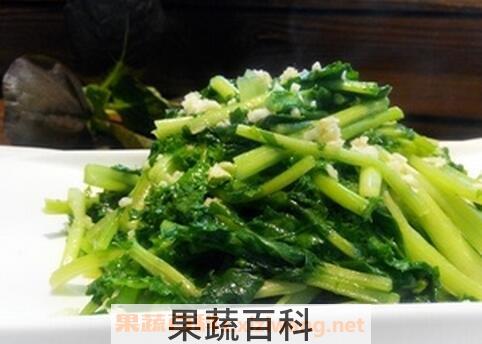 鸡冠菜的功效与作用