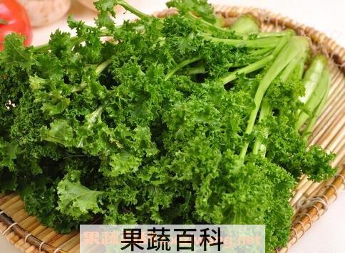 鸡冠菜的功效与作用