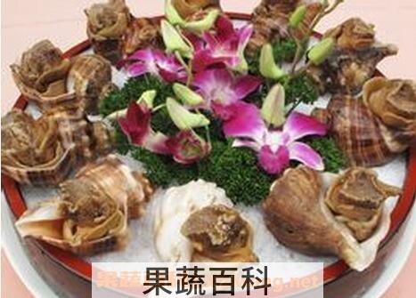 管角螺的营养价值