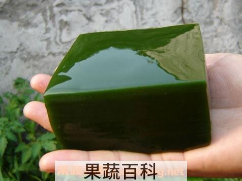 观音豆腐的功效与禁忌