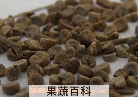 冬葵果如何吃 冬葵果与什么一起煲
