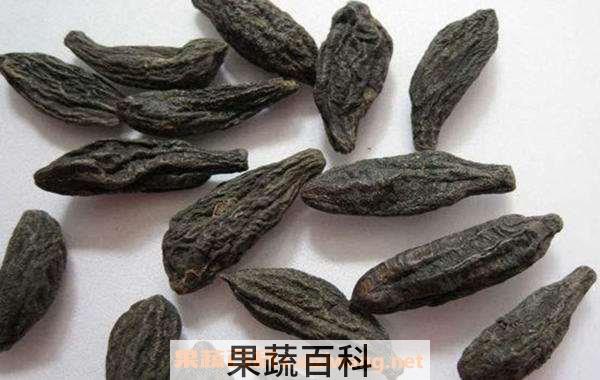 冬葵果