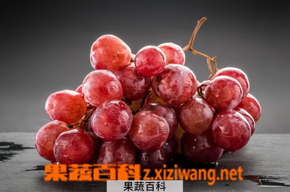 果蔬百科提子怎么吃 提子的功效与作用