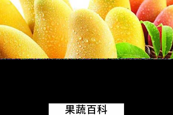 果蔬百科吃芒果的好处与坏处