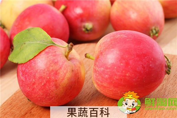 沙果哪个品种好吃，青涩的沙果怎么做好吃