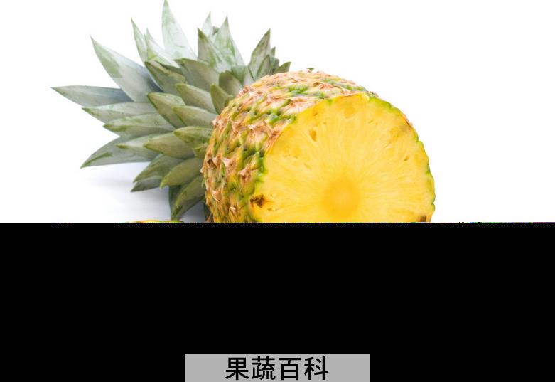 果蔬百科吃菠萝有什么好处 吃菠萝蜜有什么好处