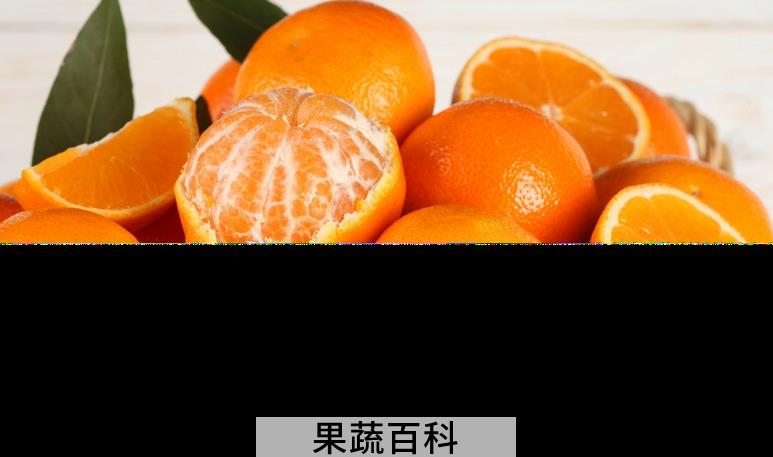果蔬百科橘子的功效与作用