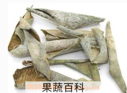 中药冬瓜皮的功效与作用及禁忌