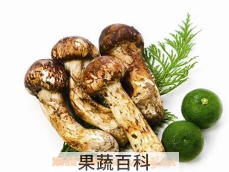 松黄磨枯的药用价值