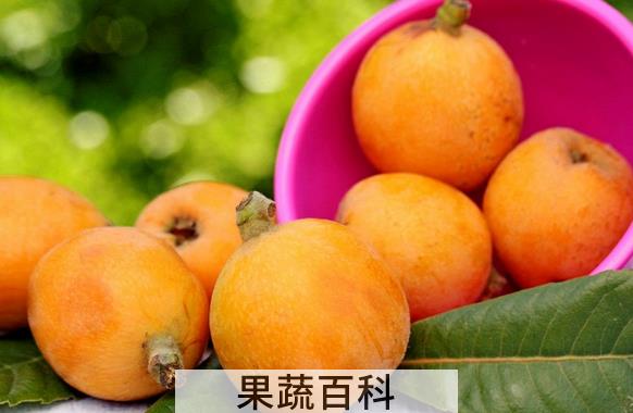 果蔬百科五月份吃什么水果好