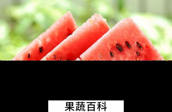 果蔬百科夏天吃西瓜的好处有哪些