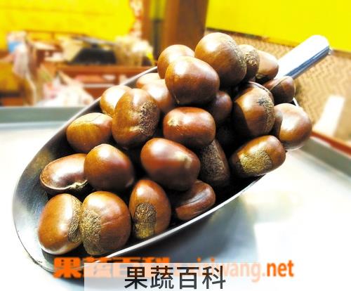 果蔬百科吃糖炒板栗的好处与坏处