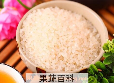梗米加白豆的作用