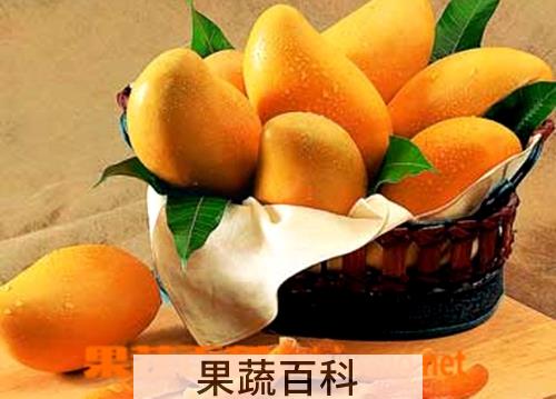 果蔬百科小腰芒的功效与作用