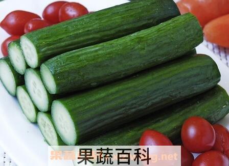 乳瓜的腌制方法 乳瓜的做法教程